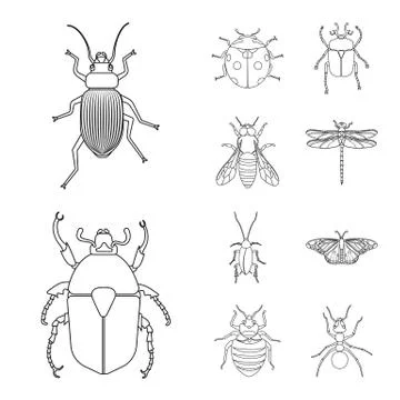 Vector design of insect and fly logo. Set of insect and element stock vector Illustrazione stock