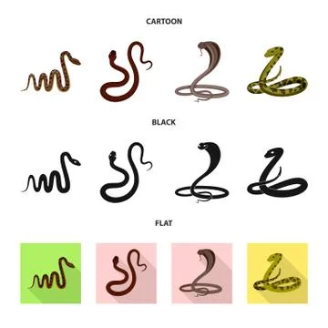 Vector design of mammal and danger icon. Set of mammal and medicine stock symbol 스톡 일러스트