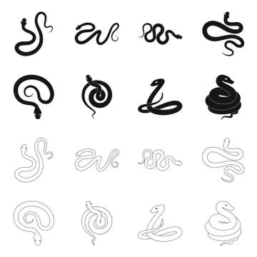 Vector design of mammal and danger icon. Collection of mammal and medicine 스톡 일러스트
