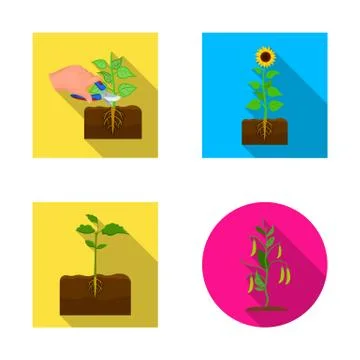 Vector design of plant and bean sign. Set of plant and process stock vector Illustrazione stock