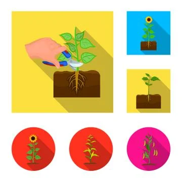 Vector design of plant and bean symbol. Collection of plant and process vector 스톡 일러스트