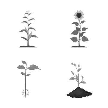 Vector design of plant and bean logo. Set of plant and process stock vector Illustrazione stock