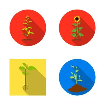 Vector design of plant and bean logo. Set of plant and process vector icon for Stock Illustration