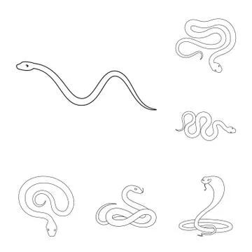 Vector design of poison and evil sign. Set of poison and bite stock vector 스톡 일러스트
