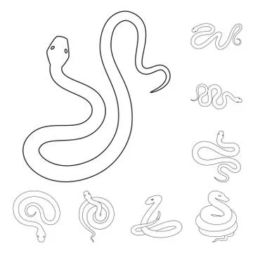 Vector design of poison and evil icon. Collection of poison and bite vector icon Stockillustratie