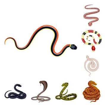 Vector design of poison and evil logo. Set of poison and bite stock vector 库存插图