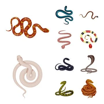 Vector design of poison and evil logo. Set of poison and bite stock symbol for Stock-Illustration