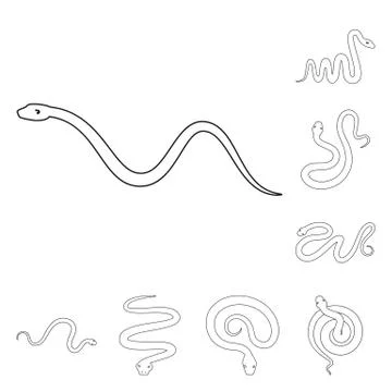 Vector design of poison and evil icon. Set of poison and bite stock symbol for Stock-Illustration