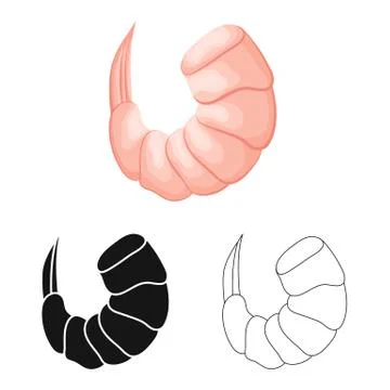 Vector design of prawn and creature symbol. Set of prawn and fresh vector icon Stock Illustration
