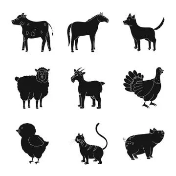 Vector design of ranch and organic sign. Collection of ranch and food stock Stock Illustration
