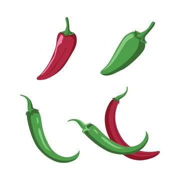 Vector Design of Red Green Hot Spicy Chili Pepper Vegetable 스톡 일러스트