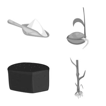 Vector design of rye and plant  icon. Set of rye and corn stock symbol for web. Illustrazione stock