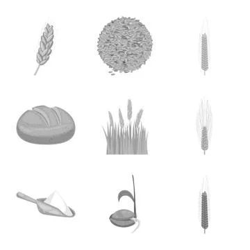 Vector design of rye and plant  logo. Set of rye and corn vector icon for stock. Stock Illustration