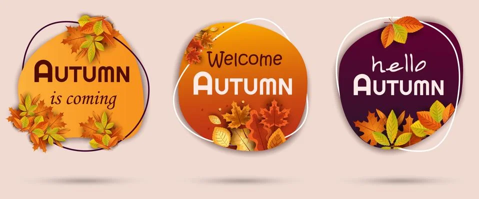 Vector design set of banners for autumn season bright autumn leaves. Collecti Stock Illustration