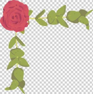 Vector design showing red rose bloom with pale stems and foliage in corner, Stock Illustration