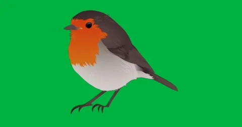 Vector design showing stylized bird standing on transparent background, Stock Footage 317480134
