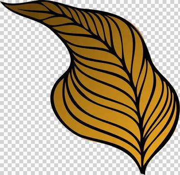 Vector design showing stylized golden leaf with bold black vein lines on Stock Illustration