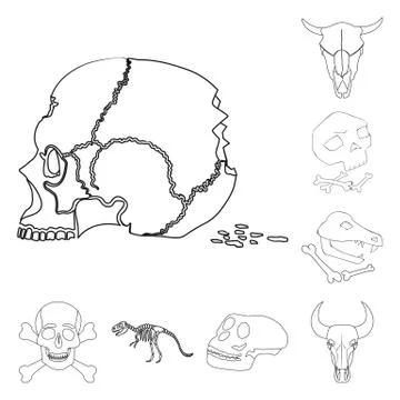 Vector design of skeleton and character symbol. Collection of skeleton and Stock Illustration