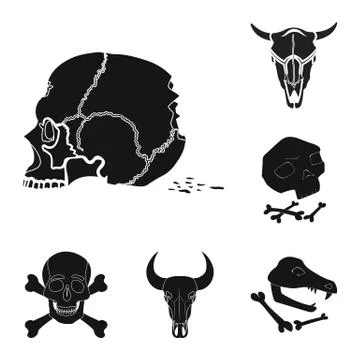 Vector design of skeleton and character symbol. Collection of skeleton and 스톡 일러스트