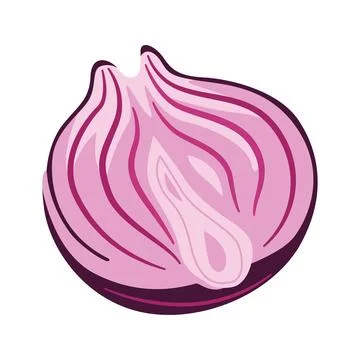 Vector Design of Sliced of Fresh Raw Red Onion Food Vegetable Stock Illustration