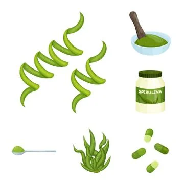 Vector design of spirulina and seaweed sign. Set of spirulina and vegan stock Stock Illustration