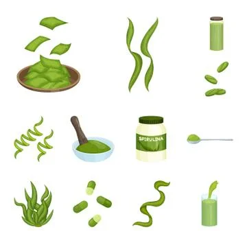 Vector design of spirulina and seaweed sign. Set of spirulina and vegan stock Stock Illustration