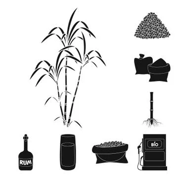 Vector design of sucrose and technology icon. Set of sucrose and cane stock Stock Illustration