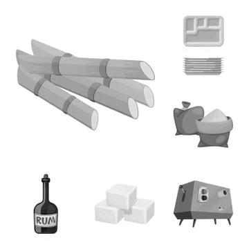 Vector design of sugarcane and cane sign. Collection of sugarcane and field Stock Illustration