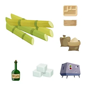 Vector design of sugarcane and cane sign. Collection of sugarcane and field Stock Illustration