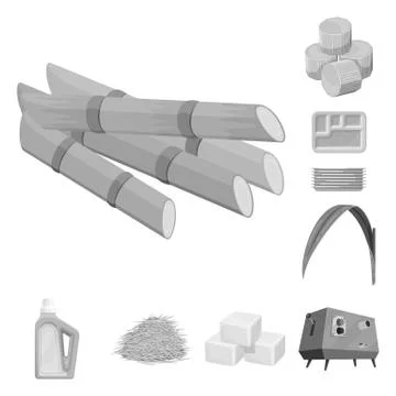 Vector design of sugarcane and cane symbol. Collection of sugarcane and field Stock Illustration