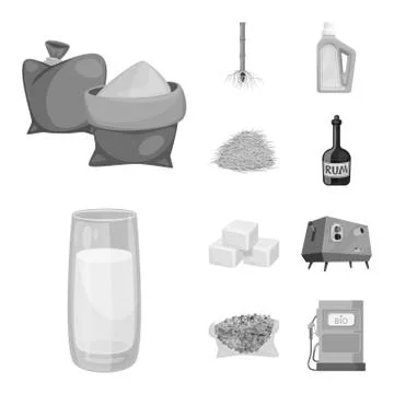 Vector design of sugarcane and cane symbol. Collection of sugarcane and field Illustrazione stock