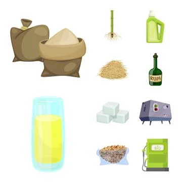 Vector design of sugarcane and cane logo. Set of sugarcane and field stock Stock Illustration