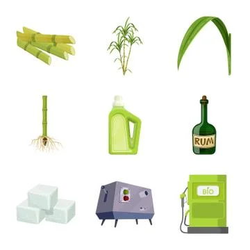 Vector design of sugarcane and cane sign. Set of sugarcane and field stock Illustrazione stock
