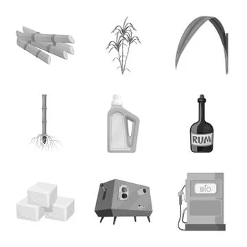 Vector design of sugarcane and cane logo. Set of sugarcane and field stock Illustrazione stock