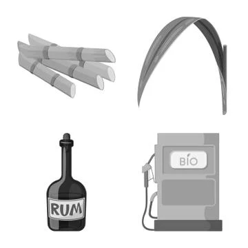 Vector design of sugarcane and cane icon. Collection of sugarcane and field Illustrazione stock