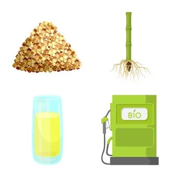 Vector design of sugarcane and cane icon. Set of sugarcane and field stock Stock Illustration