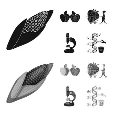 Vector design of test and synthetic logo. Set of test and laboratory stock 스톡 일러스트