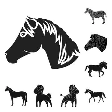 Vector design of trot and running symbol. Collection of trot and clipart vector Illustrazione stock