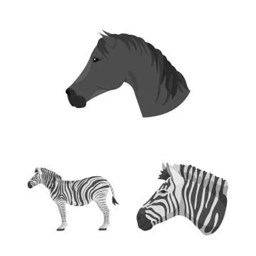 Vector design of trot and running symbol. Collection of trot and clipart vector Illustrazione stock
