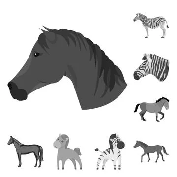 Vector design of trot and running logo. Collection of trot and clipart vector Illustrazione stock