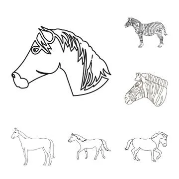 Vector design of trot and running icon. Collection of trot and clipart stock Stock Illustration