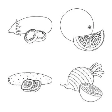 Vector design of vegetable and fruit logo. Set of vegetable and vegetarian Stock Illustration