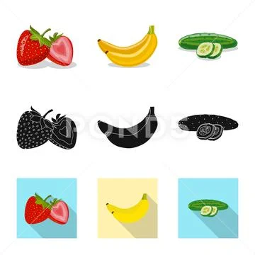 Vector design of vegetable and fruit icon. Collection of vegetable and Stock Illustration