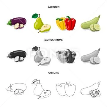 Vector design of vegetable and fruit icon. Collection of vegetable and Stock Illustration