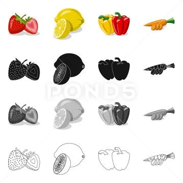 Vector design of vegetable and fruit icon. Collection of vegetable and Stock Illustration