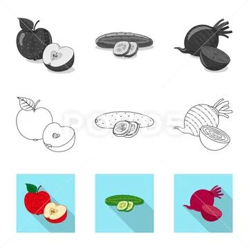Vector design of vegetable and fruit icon. Collection of vegetable and Stock Illustration