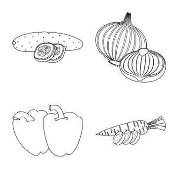 Vector design of vegetable and fruit logo. Collection of vegetable and Stock Illustration