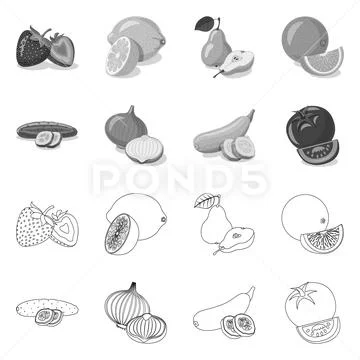 Vector design of vegetable and fruit sign. Collection of vegetable and Stock Illustration