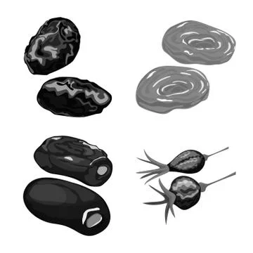 Vector design of vitamin and nature logo. Collection of vitamin and dried vector Stock Illustration