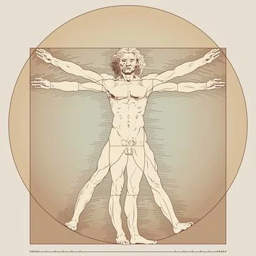 Vector design, of the Vitruvian Man, original work of Leonardo, parchment col 스톡 일러스트